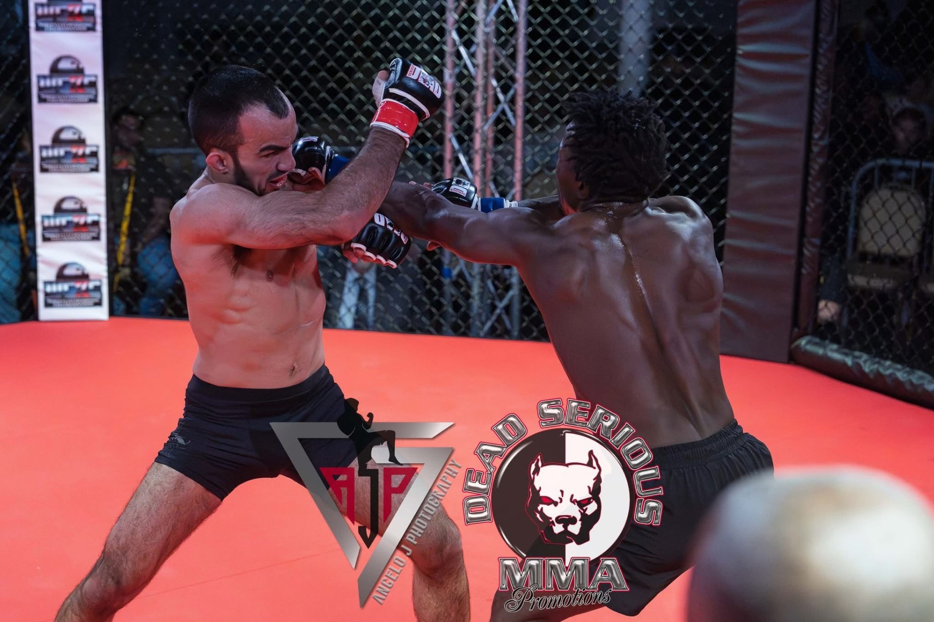 Jefrey Roy fight photo 4
